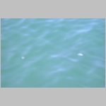R~DSCN3019.JPG