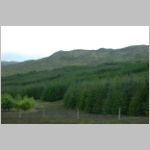 R~DSCN2808.JPG