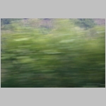 R~DSCN2916.JPG